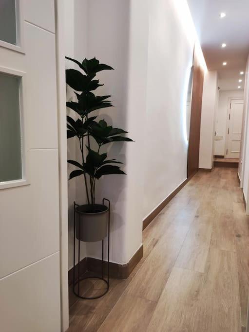 Sierra-sol Apartment *